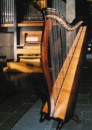 irish harp